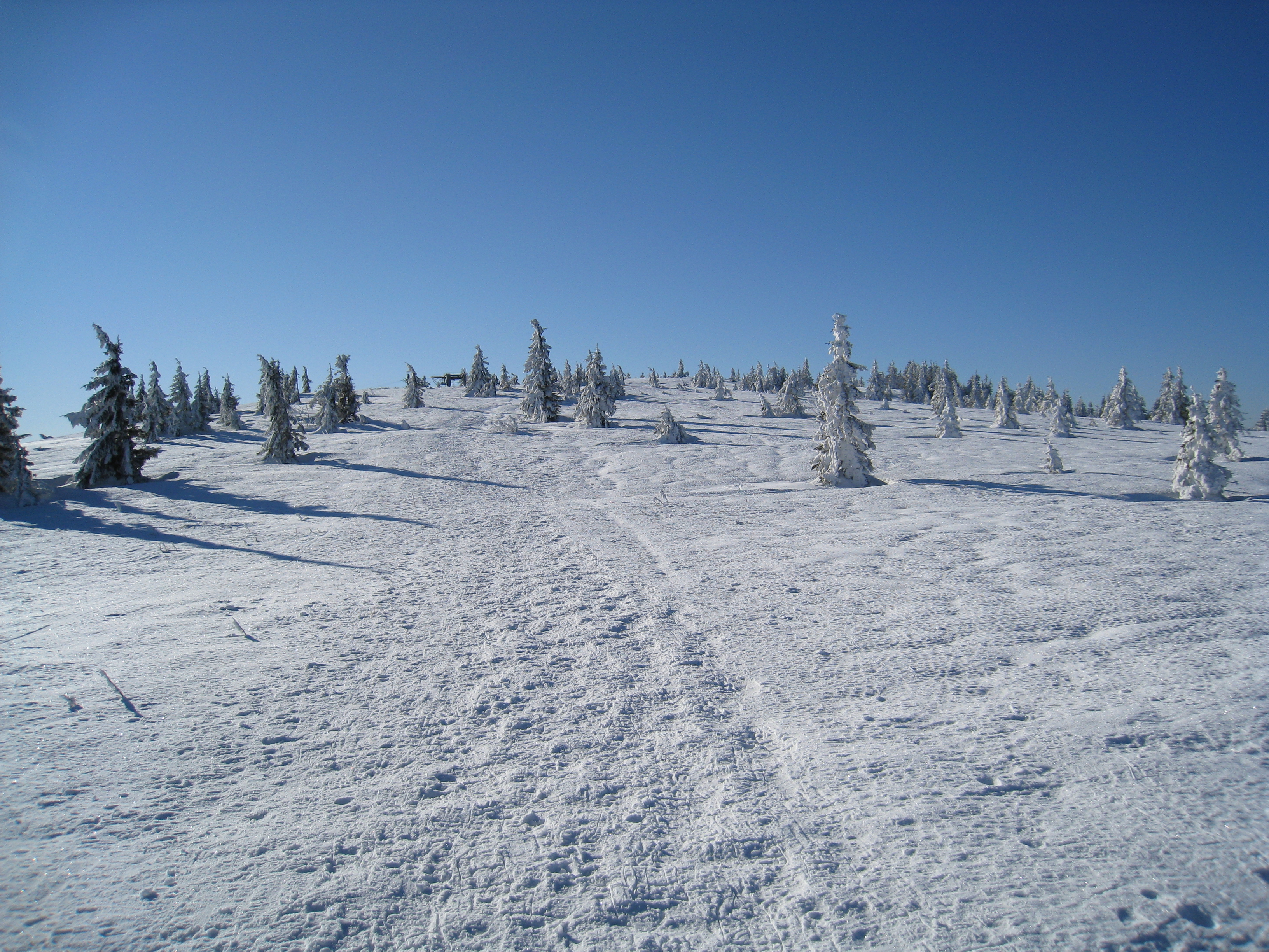 Schneeschuhtouren